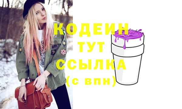 мдпв Верхний Тагил