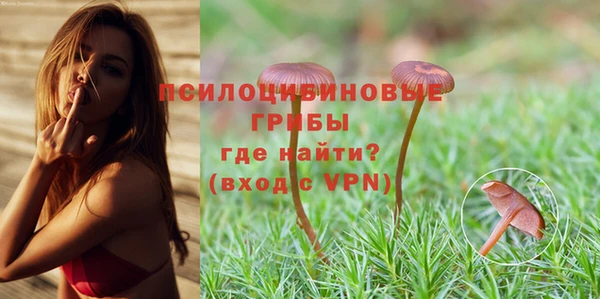 мдпв Верхний Тагил